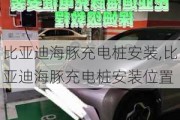 比亚迪海豚充电桩安装,比亚迪海豚充电桩安装位置