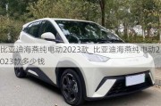 比亚迪海燕纯电动2023款_比亚迪海燕纯电动2023款多少钱