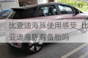 比亚迪海豚使用感受_比亚迪海豚有备胎吗