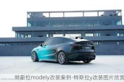 特斯拉modely改装案例-特斯拉y改装图片欣赏