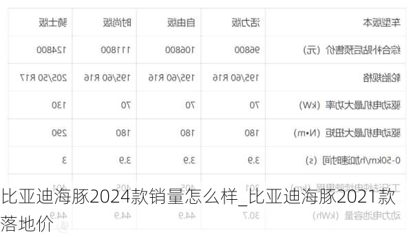 比亚迪海豚2024款销量怎么样_比亚迪海豚2021款落地价