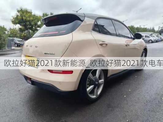 欧拉好猫2021款新能源_欧拉好猫2021款电车