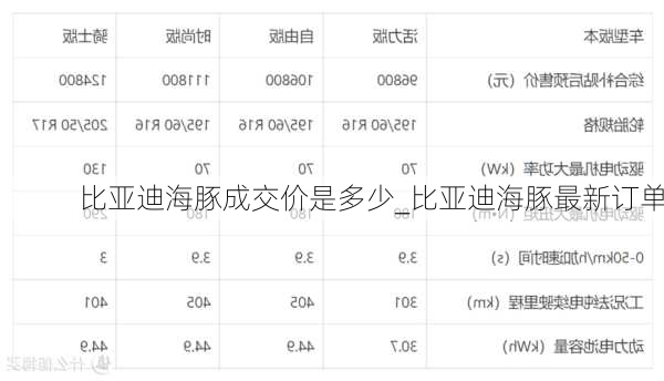 比亚迪海豚成交价是多少_比亚迪海豚最新订单