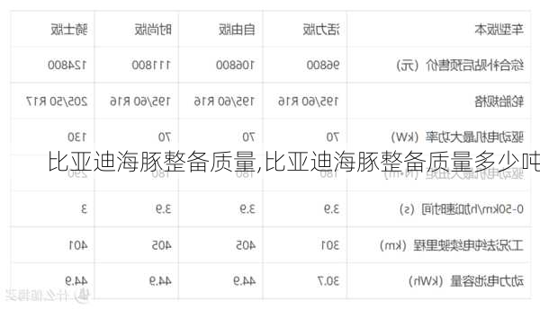 比亚迪海豚整备质量,比亚迪海豚整备质量多少吨