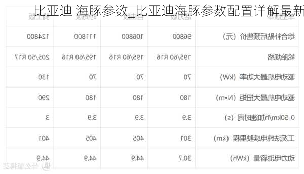 比亚迪 海豚参数_比亚迪海豚参数配置详解最新