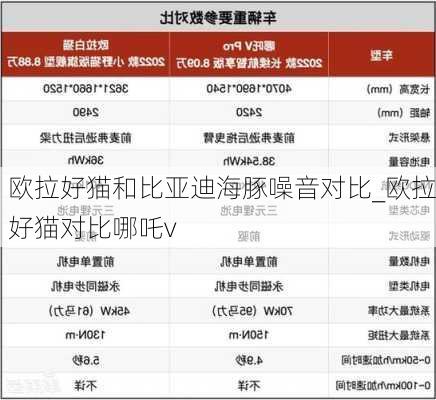 欧拉好猫和比亚迪海豚噪音对比_欧拉好猫对比哪吒v