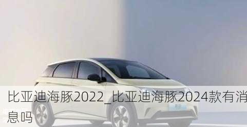 比亚迪海豚2022_比亚迪海豚2024款有消息吗