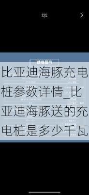 比亚迪海豚充电桩参数详情_比亚迪海豚送的充电桩是多少千瓦