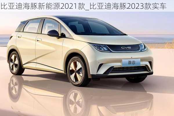 比亚迪海豚新能源2021款_比亚迪海豚2023款实车