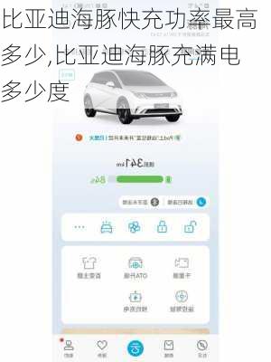 比亚迪海豚快充功率最高多少,比亚迪海豚充满电多少度