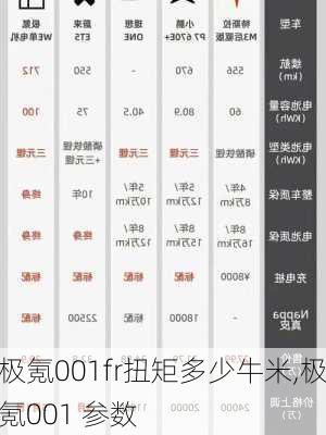 极氪001fr扭矩多少牛米,极氪001 参数