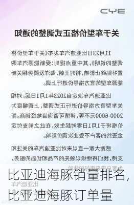 比亚迪海豚销量排名,比亚迪海豚订单量