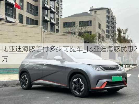 比亚迪海豚首付多少可提车_比亚迪海豚优惠2万