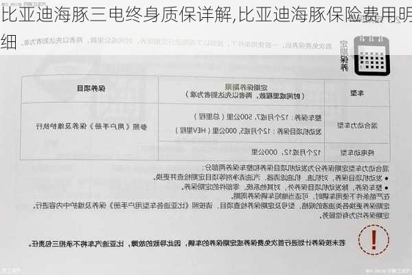 比亚迪海豚三电终身质保详解,比亚迪海豚保险费用明细