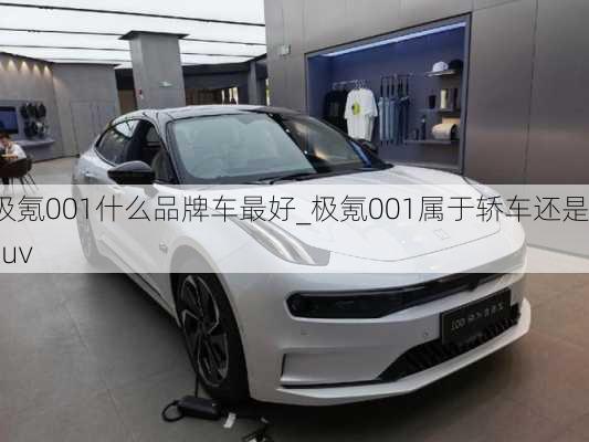 极氪001什么品牌车最好_极氪001属于轿车还是suv