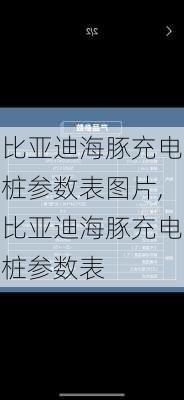 比亚迪海豚充电桩参数表图片,比亚迪海豚充电桩参数表