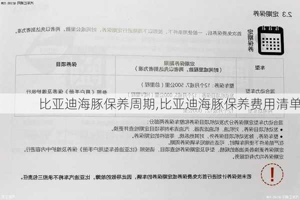 比亚迪海豚保养周期,比亚迪海豚保养费用清单