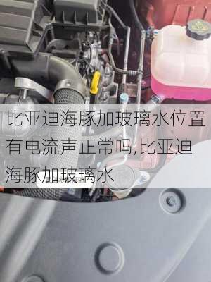 比亚迪海豚加玻璃水位置有电流声正常吗,比亚迪海豚加玻璃水