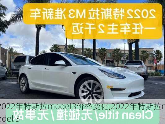 2022年特斯拉model3价格变化,2022年特斯拉model 3