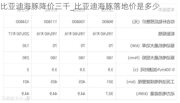 比亚迪海豚降价三千_比亚迪海豚落地价是多少