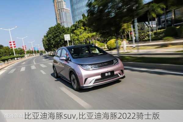 比亚迪海豚suv,比亚迪海豚2022骑士版