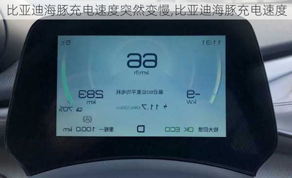比亚迪海豚充电速度突然变慢,比亚迪海豚充电速度
