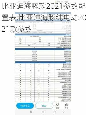 比亚迪海豚款2021参数配置表,比亚迪海豚纯电动2021款参数