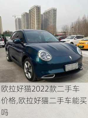 欧拉好猫2022款二手车价格,欧拉好猫二手车能买吗