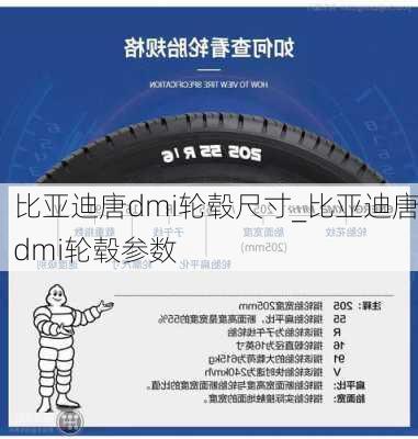 比亚迪唐dmi轮毂尺寸_比亚迪唐dmi轮毂参数