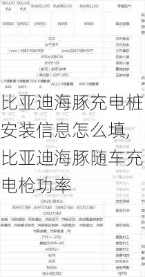 比亚迪海豚充电桩安装信息怎么填,比亚迪海豚随车充电枪功率