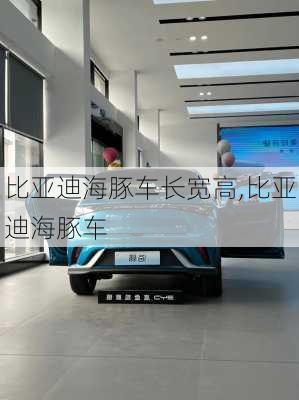 比亚迪海豚车长宽高,比亚迪海豚车