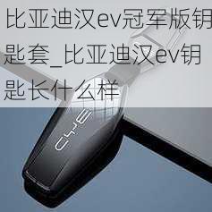 比亚迪汉ev冠军版钥匙套_比亚迪汉ev钥匙长什么样