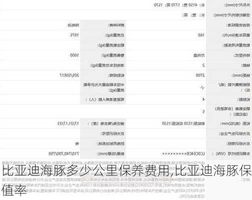 比亚迪海豚多少公里保养费用,比亚迪海豚保值率