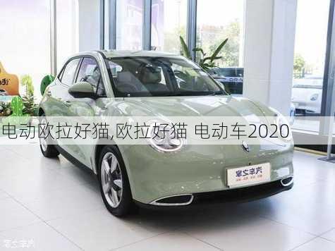 电动欧拉好猫,欧拉好猫 电动车2020