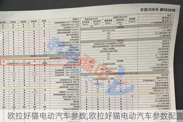 欧拉好猫电动汽车参数,欧拉好猫电动汽车参数配置