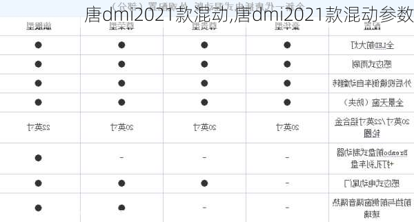 唐dmi2021款混动,唐dmi2021款混动参数