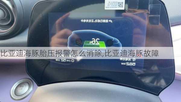 比亚迪海豚胎压报警怎么消除,比亚迪海豚故障