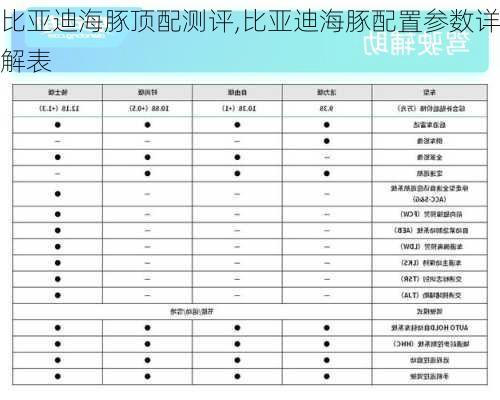 比亚迪海豚顶配测评,比亚迪海豚配置参数详解表