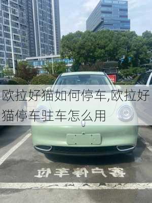 欧拉好猫如何停车,欧拉好猫停车驻车怎么用