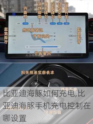 比亚迪海豚如何充电,比亚迪海豚手机充电控制在哪设置