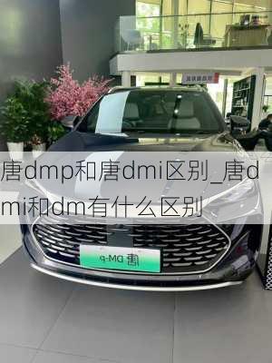 唐dmp和唐dmi区别_唐dmi和dm有什么区别