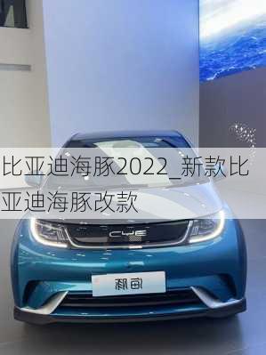 比亚迪海豚2022_新款比亚迪海豚改款