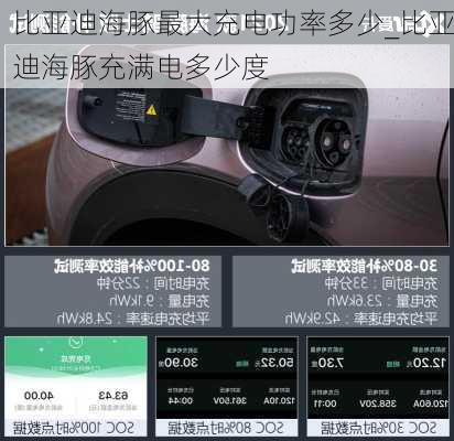 比亚迪海豚最大充电功率多少_比亚迪海豚充满电多少度