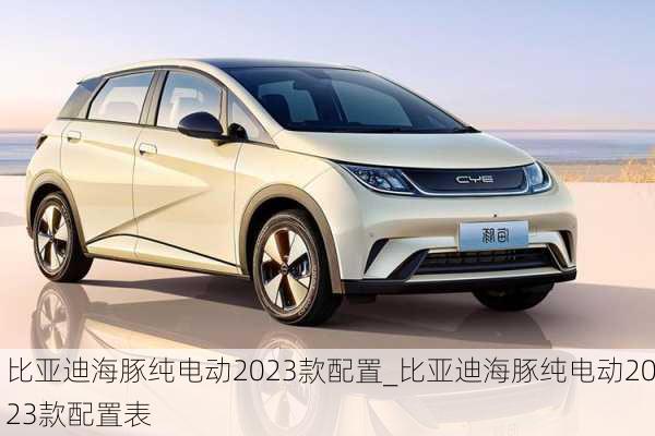 比亚迪海豚纯电动2023款配置_比亚迪海豚纯电动2023款配置表