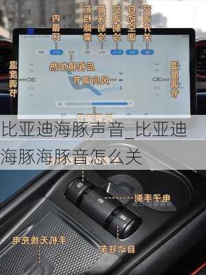 比亚迪海豚声音_比亚迪海豚海豚音怎么关