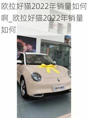 欧拉好猫2022年销量如何啊_欧拉好猫2022年销量如何