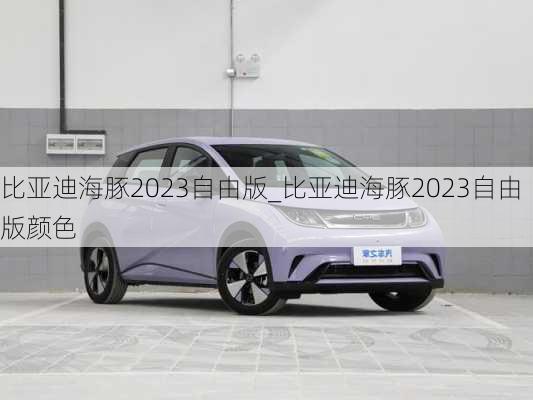 比亚迪海豚2023自由版_比亚迪海豚2023自由版颜色