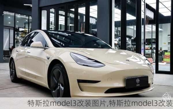 特斯拉model3改装图片,特斯拉model3改装