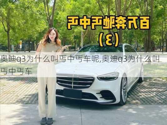 奥迪q3为什么叫丐中丐车呢,奥迪q3为什么叫丐中丐车