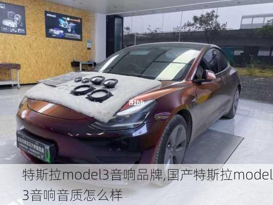 特斯拉model3音响品牌,国产特斯拉model3音响音质怎么样